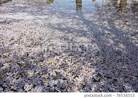 花瓣漂浮在水邊 花瓣漂浮在水邊 76538553