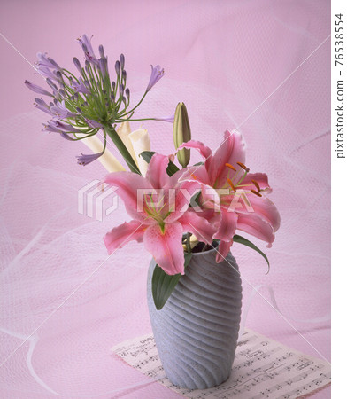 棚拍靜物花卉裝飾 76538554