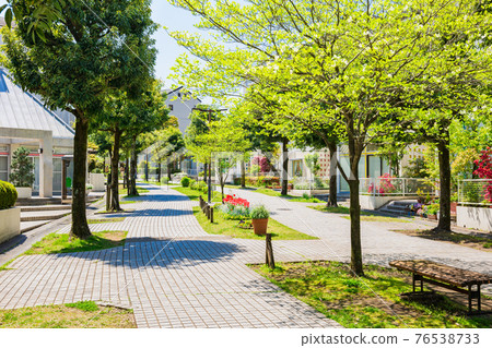 Quiet residential area, fresh green living road Quiet residential area, fresh green living road 76538733
