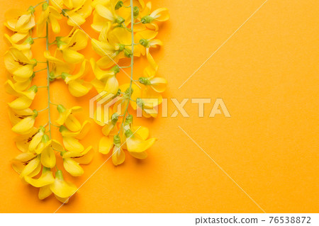 yellow inflorescences are located at the top of the frame on a yellow background, concept spring, allergy yellow inflorescences are located at the top of the frame on a yellow background, concept spring, allergy 76538872