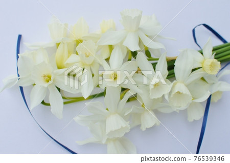A bouquet of cream-colored daffodils 76539346