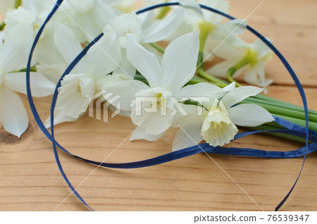一束奶油色的水仙花 一束奶油色的水仙花 76539347