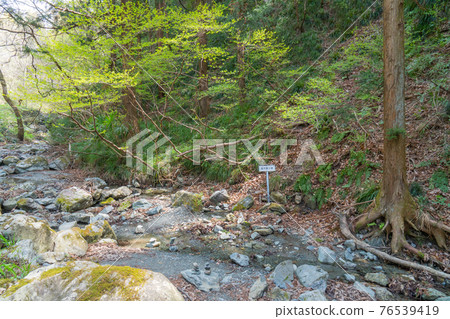 Wado Ruins at the foot of Minoyama 76539419