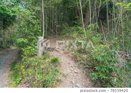 美濃山登山口(和堂遺址一側) 美濃山登山口(和堂遺址一側) 76539420