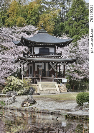 Spring temple Spring temple 76539522