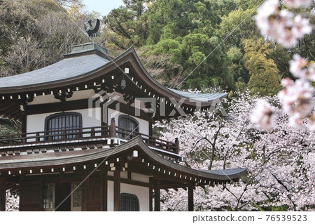 Spring temple 76539523