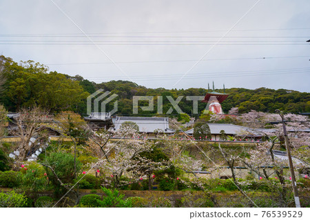 Sakura Yakuoji Temple (Shikoku 88 Pilgrimage Site No. 23) 76539529