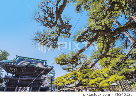 Taishakuten Shibamata Katsushika-ku Shibamata Katsushika Shibamata Taishakuten Sunny Taishakuten Shibamata Katsushika-ku Shibamata Katsushika Shibamata Taishakuten Sunny 76540123