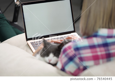 Woman is sitting on couch with laptop and cat Woman is sitting on couch with laptop and cat 76540445