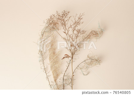 Dry reeds isolated on beige background. Abstract dry grass flowers, pile of dry herbs, hay or straw, background with copy space, monochrome, trendy minimal style 76540805