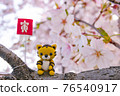 Sakura and tiger 2022 tiger year New Year's card material Sakura and tiger 2022 tiger year New Year's card material 76540917