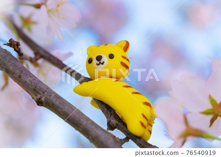 櫻花與老虎2022虎年賀年片素材 76540919