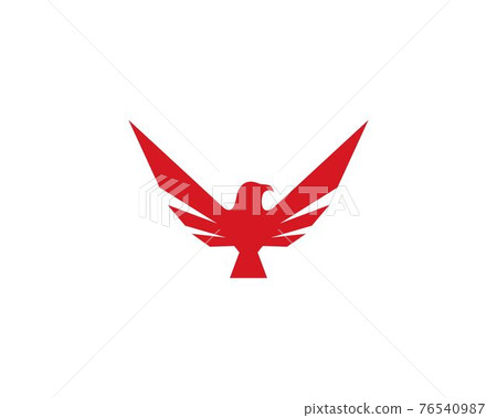 Eagle Bird Logo 76540987