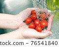 新鮮蔬菜、櫻桃番茄 76541840