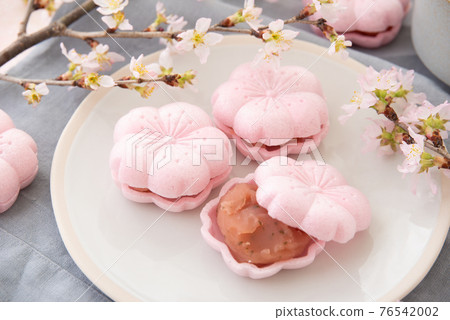 In the middle of cherry blossoms 76542002