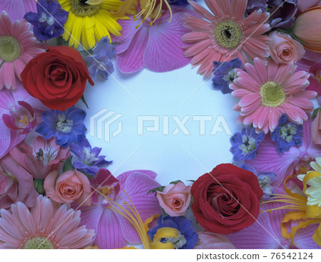 Studio photography of beautiful still life flowers Studio photography of beautiful still life flowers 76542124