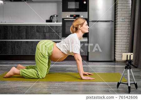 Pregnant Female Doing Cat Pose Marjariasana Exercise At Home, Watching Video Online Lesson 76542606