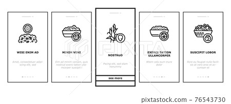 Groats Natural Food Onboarding Icons Set Vector Groats Natural Food Onboarding Icons Set Vector 76543730