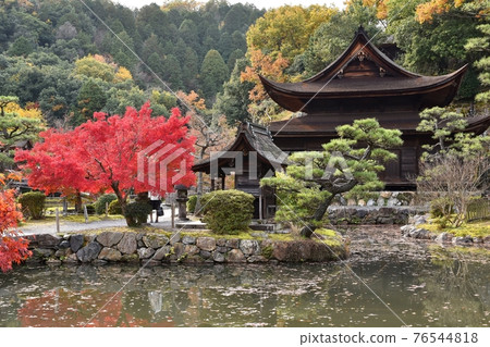 秋天的永寶寺觀音堂 76544818