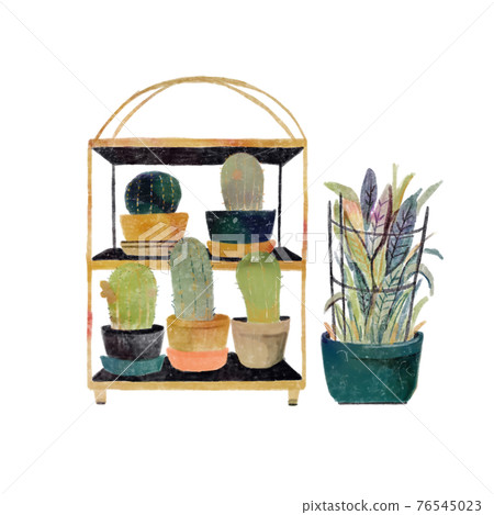 Interior coordination of cactus and fern Interior coordination of cactus and fern 76545023