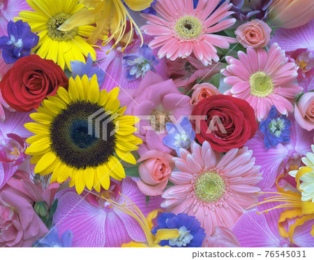 Colorful fresh flower shed photo still life 76545031