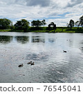 Duck swimming in the lake 76545041