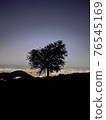 Trees and night view 76545169