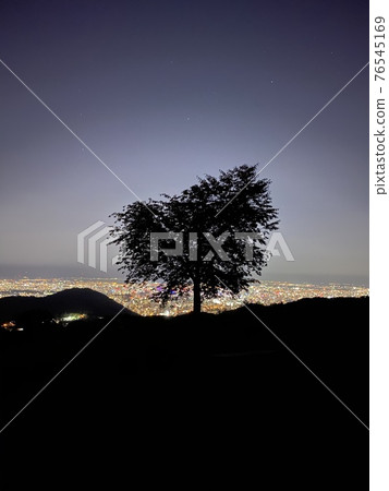 Trees and night view Trees and night view 76545169