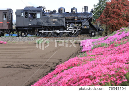 Moka Tetsudo "SL and moss phlox blooming fields" 76545504