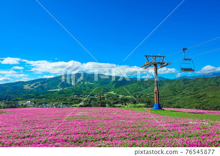 Hiruga的野餐花園，風景優美的高地度假勝地<岐阜縣坤城市> 76545877