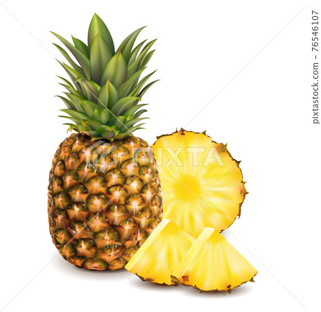 Realistic Detailed 3d Whole and Round Slices Pineapple Set. Vector 76546107