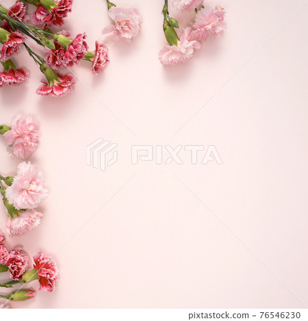 康乃馨 花束 母親節 禮物 carnation Mother's Day 母の日 カーネーション 76546230