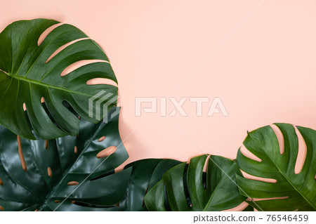 Tropic leaf background tropical foliage 76546459