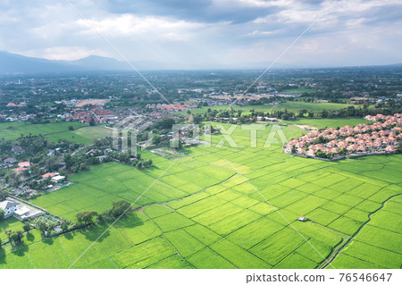 Land plot and green field in aerial view. Land plot and green field in aerial view. 76546647