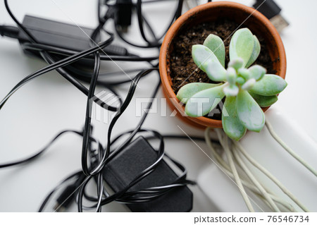 E waste, old cables and green plant. Gadget recycle of tech junk. Environment pollution E waste, old cables and green plant. Gadget recycle of tech junk. Environment pollution 76546734