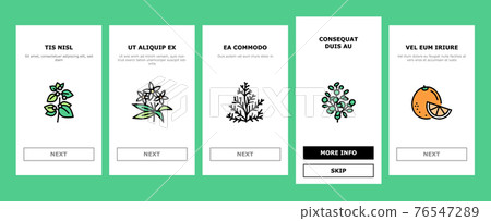 Aromatherapy Herbs Onboarding Icons Set Vector Aromatherapy Herbs Onboarding Icons Set Vector 76547289
