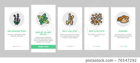 Aromatherapy Herbs Onboarding Icons Set Vector 76547292