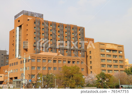 Tokyo Medical and Dental University in Yushima, Bunkyo-ku, Tokyo Tokyo Medical and Dental University in Yushima, Bunkyo-ku, Tokyo 76547755