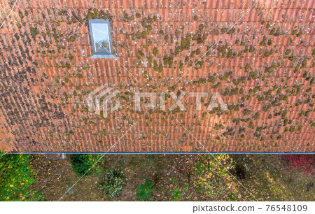 Inspection of the red tiled roof of a single-family house 76548109