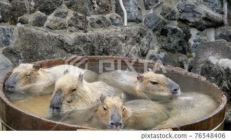 河原同學在泡溫泉! !! 河原同學在泡溫泉! !! 76548406