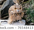 An owl with a strong presence! 76548413