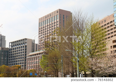 東京文京區本鄉順天堂大學和櫻花 76548802