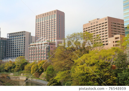 東京文京區本鄉順天堂大學和外堀 東京文京區本鄉順天堂大學和外堀 76548939