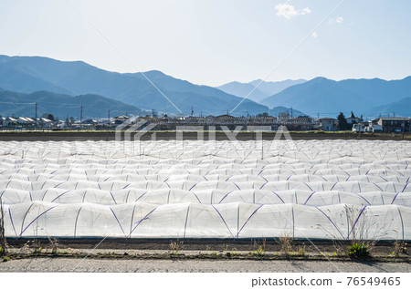 山形村長場 76549465