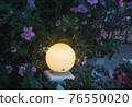 Yellow round night lantern in flower bush on dark background. Beautiful spring nature decoration. Lamplight in floral branches horizontal wallpaper. Evening outdoor colorful backdrop 76550020