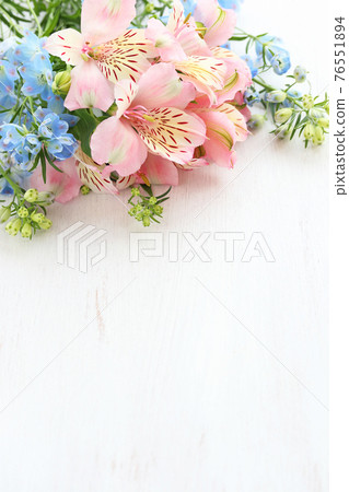 Alstroemeria and delphinium 76551894
