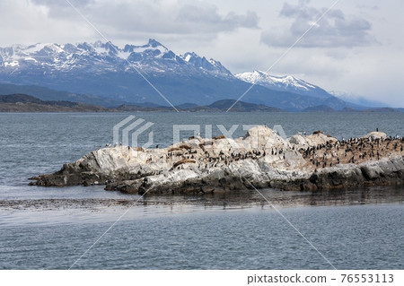 Beagle Channel  - Tierra del Fuego - Argentina 76553113