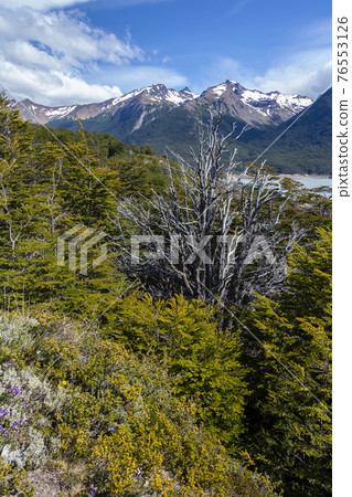 Los Glaciares National Park in Patagonia - Chile 76553126
