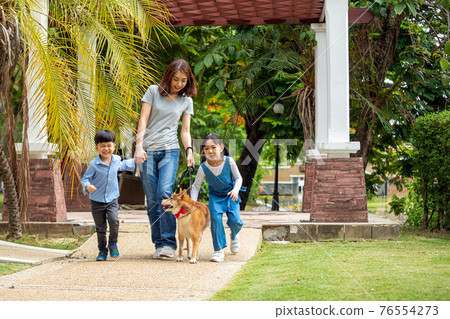 Asian mother and two kids walking together with Shiba inu dog in public park Asian mother and two kids walking together with Shiba inu dog in public park 76554273