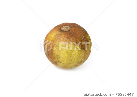 Rotten lime isolated on white background with clipping path 76555447
